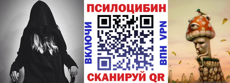 Псилоцибиновые грибы мицелий  Покров 